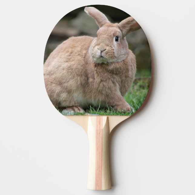 Cute ginger bunny with big ears    ping pong paddle (Front)