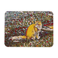 Cute ginger cat for a walk 