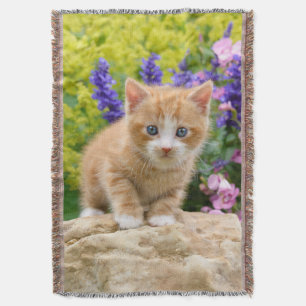 Cute Ginger Cat Kitten Flower Garden Photo - Throw Blanket
