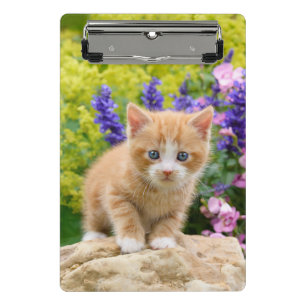 Cute Ginger Cat Kitten Flowery Garden Portrait on Mini Clipboard