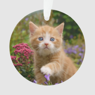 Cute Ginger Cat Kitten in a Garden - round acrylic Ornament