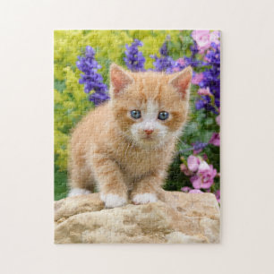 Cute Ginger Cat Kitten in Flowery Garden _ Game Jigsaw Puzzle