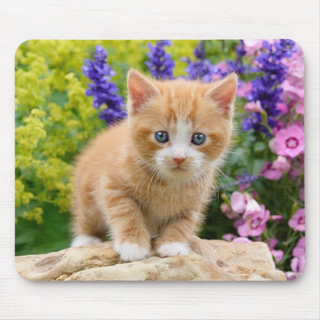 Cute Ginger Cat Kitten in Flowery Garden Portrait Mouse Pad (Front)