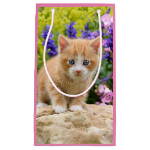 Cute Ginger Cat Kitten in Flowery Garden Portrait Small Gift Bag