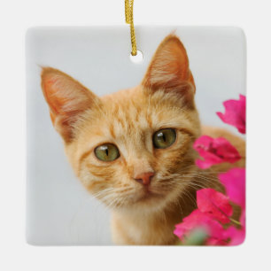 Cute Ginger Cat Kitten is Watching Photo - Ceramic Tree Decoration