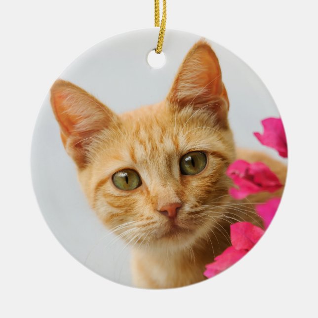 Cute Ginger Cat Kitten is Watching Photo - Ceramic Tree Decoration (Front)