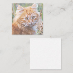 Cute Ginger Cat Kitten Painting Enclosure Card