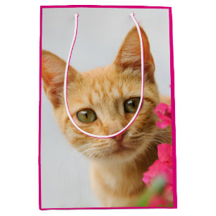 Cute Ginger Cat Kitten Watching You Portrait Photo Medium Gift Bag
