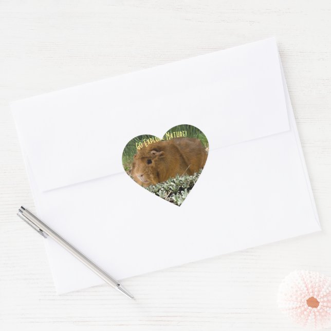Cute Ginger Guinea Exploring Nature Photo Custom Heart Sticker (Envelope)