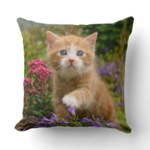 Cute ginger kitten in a garden