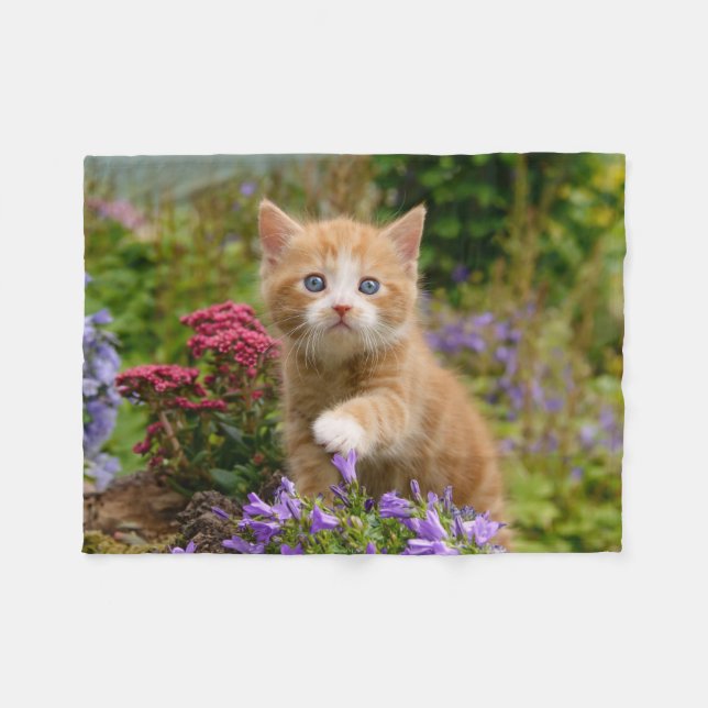 Cute ginger kitten in a garden fleece blanket (Front (Horizontal))