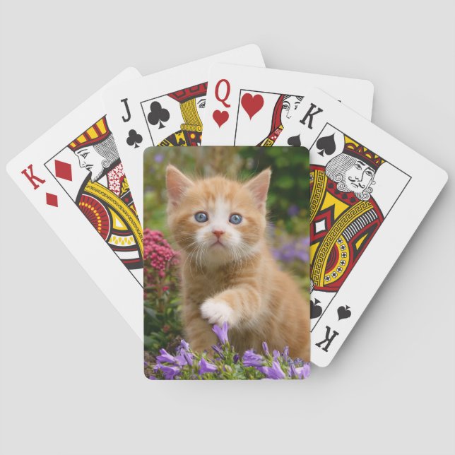Cute ginger kitten in a garden playing cards (Back)