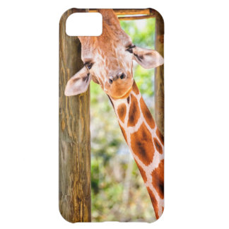 Cute Giraffe iPhone 5C Case