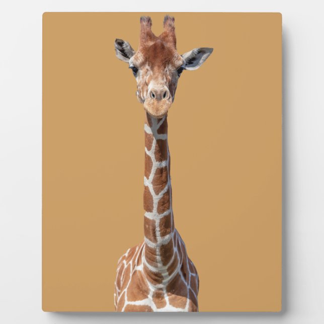 Cute giraffe face plaque (Front)
