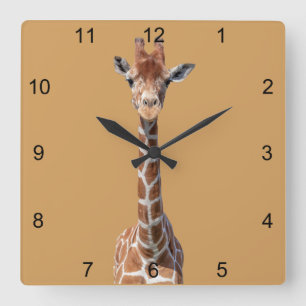 Cute giraffe face square wall clock