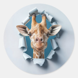 Cute Giraffe Peeking Through a Paper Hole Classic Round Sticker