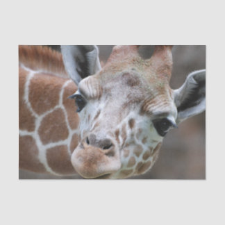 Cute Giraffe Tissue Paper