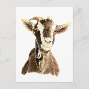Cute Goat, Animal, Farm Pet Postcard