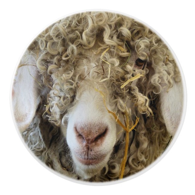 CUTE GOAT    CERAMIC KNOB (Front)