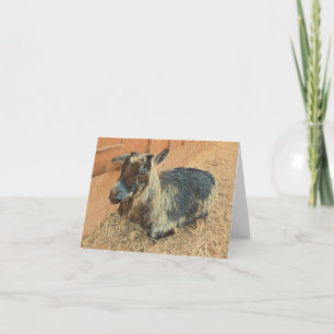 Cute Goat Hello - Blank Card