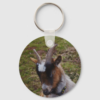 Cute Goat. Key Ring