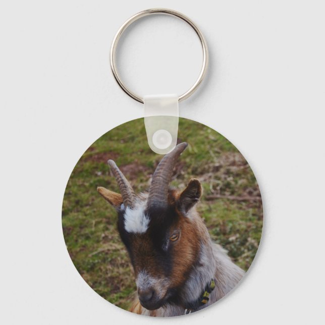 Cute Goat. Key Ring (Front)