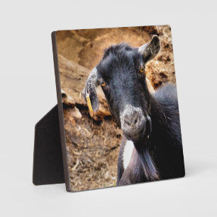 CUTE GOAT PLAQUE