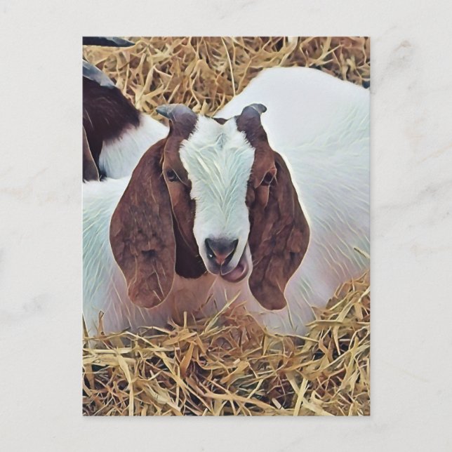 CUTE GOAT POSTCARD (Front)