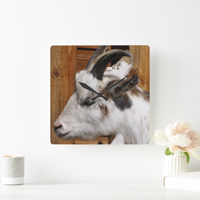 CUTE GOAT  SQUARE WALL CLOCK (Home)