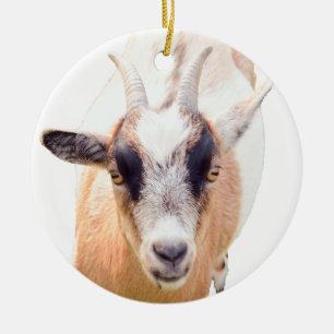 Cute goat straight look ceramic tree decoration