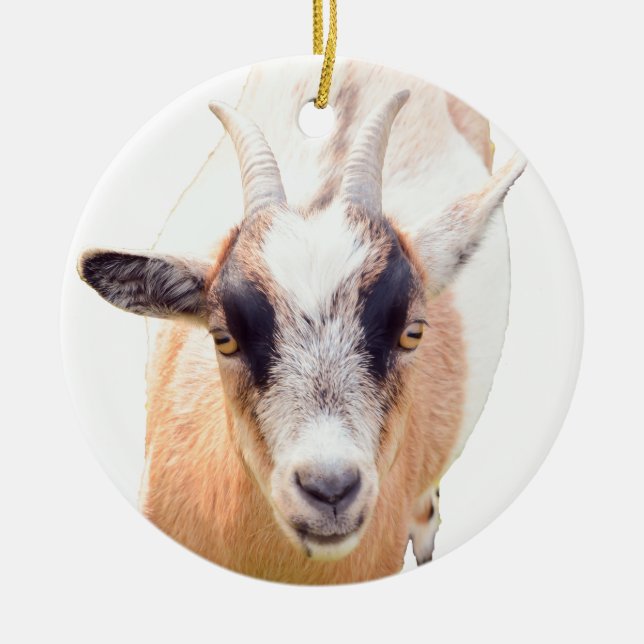 Cute goat straight look ceramic tree decoration (Front)