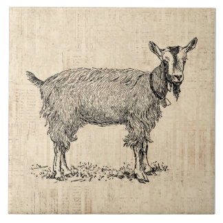 Cute Goat with Bell Illustration Antique Script Tile