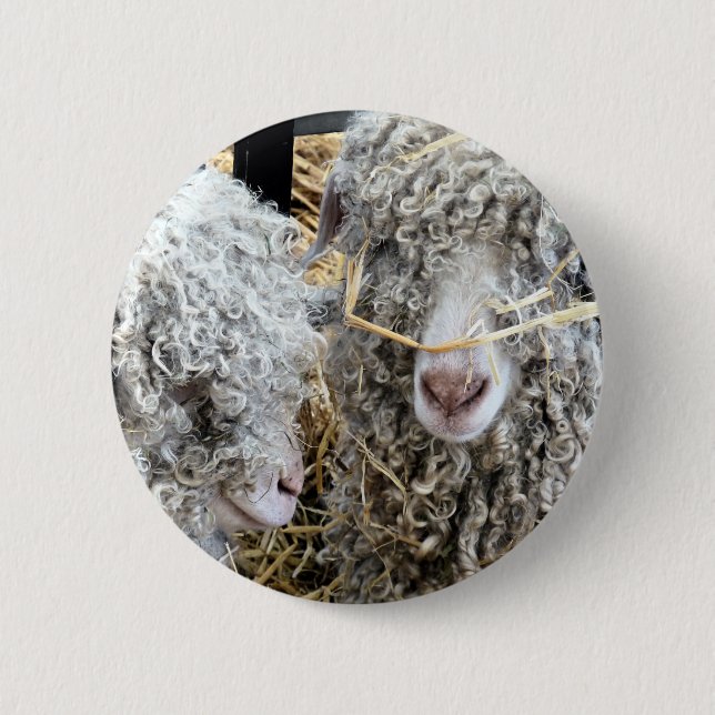 CUTE GOATS  6 CM ROUND BADGE (Front)