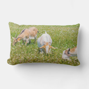 Cute Goats Farm Animals Green Lumbar Cushion