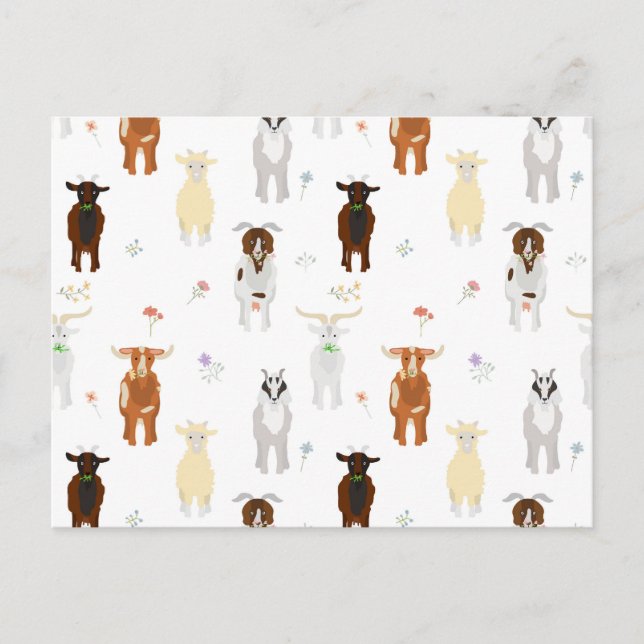 Cute Goats Farm Animals Holiday Postcard (Front)