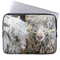 CUTE GOATS