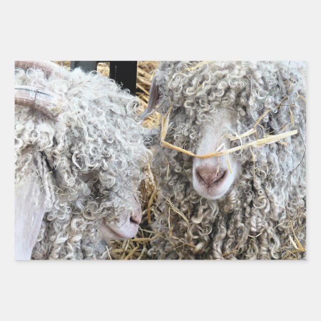 CUTE GOATS  WRAPPING PAPER SHEET (Front)