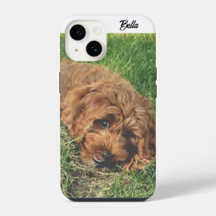 Cute Golden Doodle iPhone 14 Case