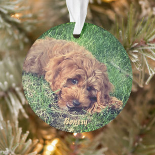 Cute Golden Doodle Ornament