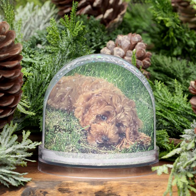 Cute Golden Doodle Snowglobe (Winter)