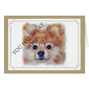 CUTE GOLDEN POMERANIAN
