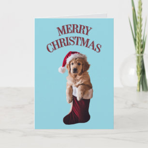  Cute Golden Retriever Christmas Holiday Card