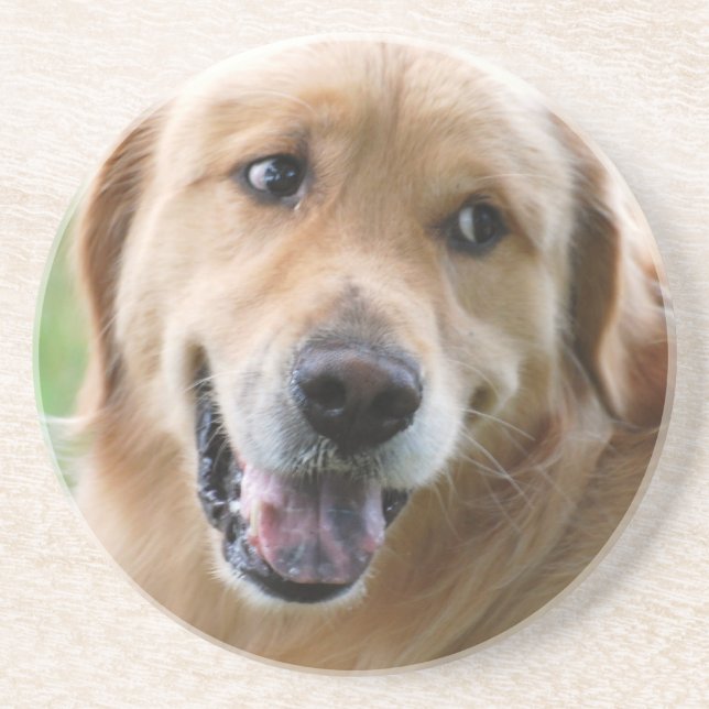 Cute Golden Retriever Coaster (Front)