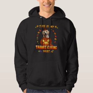 Cute Golden Retriever Dog In Pumpkin Hoodie