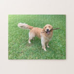 Cute Golden Retriever Dog Photograph Green Nature Jigsaw Puzzle<br><div class="desc">This adorable golden retriever playing fetch in the beautiful green grass of summer is bound to make you smile. A cute dog puzzle gift.</div>