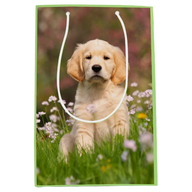 Cute Golden Retriever Dog Puppy Face Animal Photo Medium Gift Bag (Front)