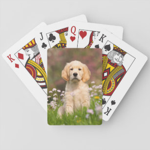 Cute Golden Retriever Dog Puppy Photo Portrait - Playing Cards