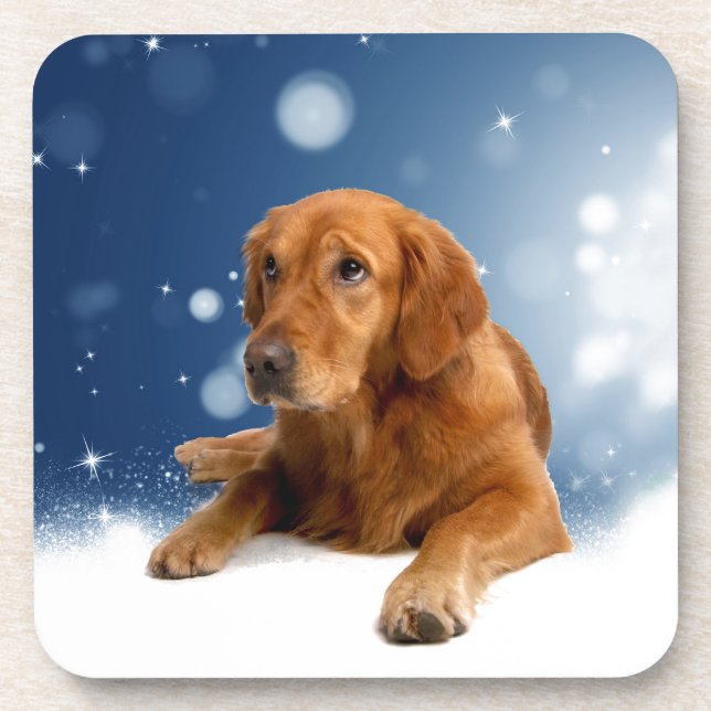 Cute Golden Retriever Dog Sitting in Snow Stars Coaster (Front)