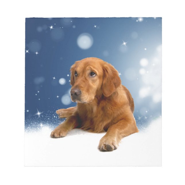 Cute Golden Retriever Dog Sitting in Snow Stars Notepad (Front)