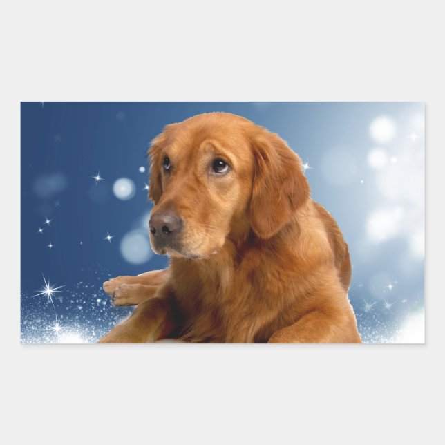 Cute Golden Retriever Dog Sitting in Snow Stars Rectangular Sticker (Front)